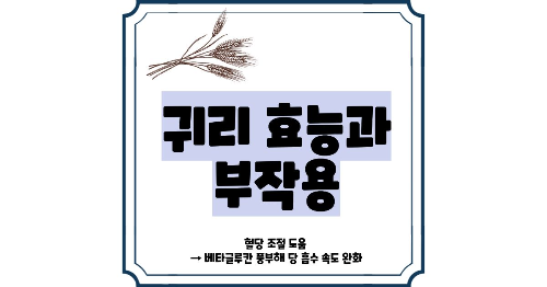 귀리 효능과 부작용