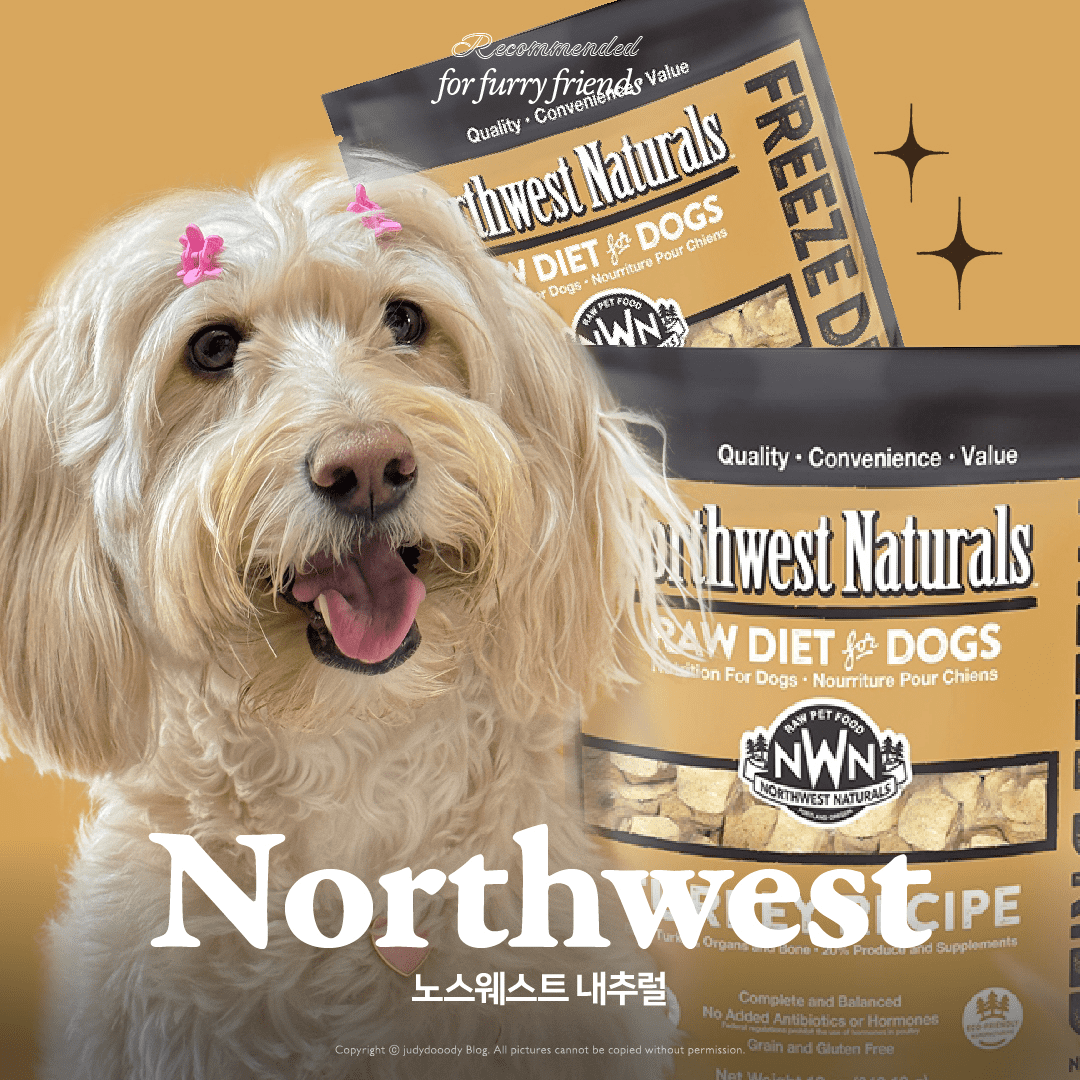 동결건조 사료추천 썸네일