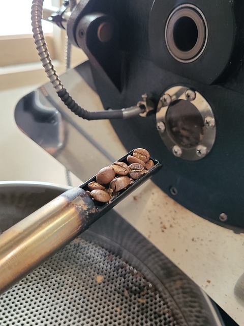 2024강릉커피축제정보