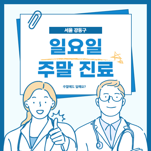 서울 강동구 주말(일요일) 진료 병원