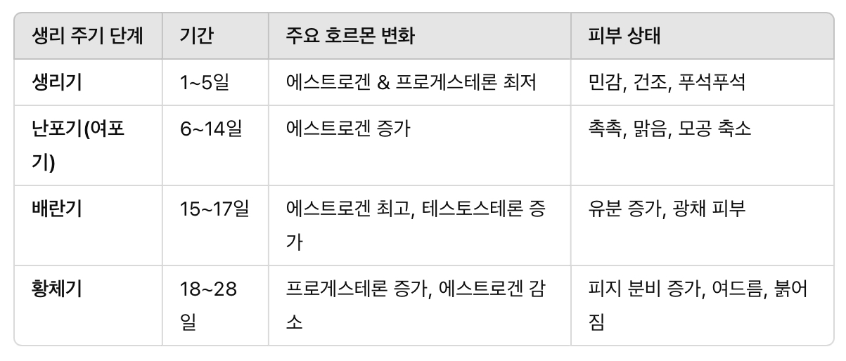 생리 주기와 호르몬 변화