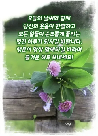 아침 인사로 좋은 글 이쁜글 기분좋은 인사말_5