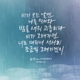 비오는 날 인사말 문구 이미지 사진 정리_18