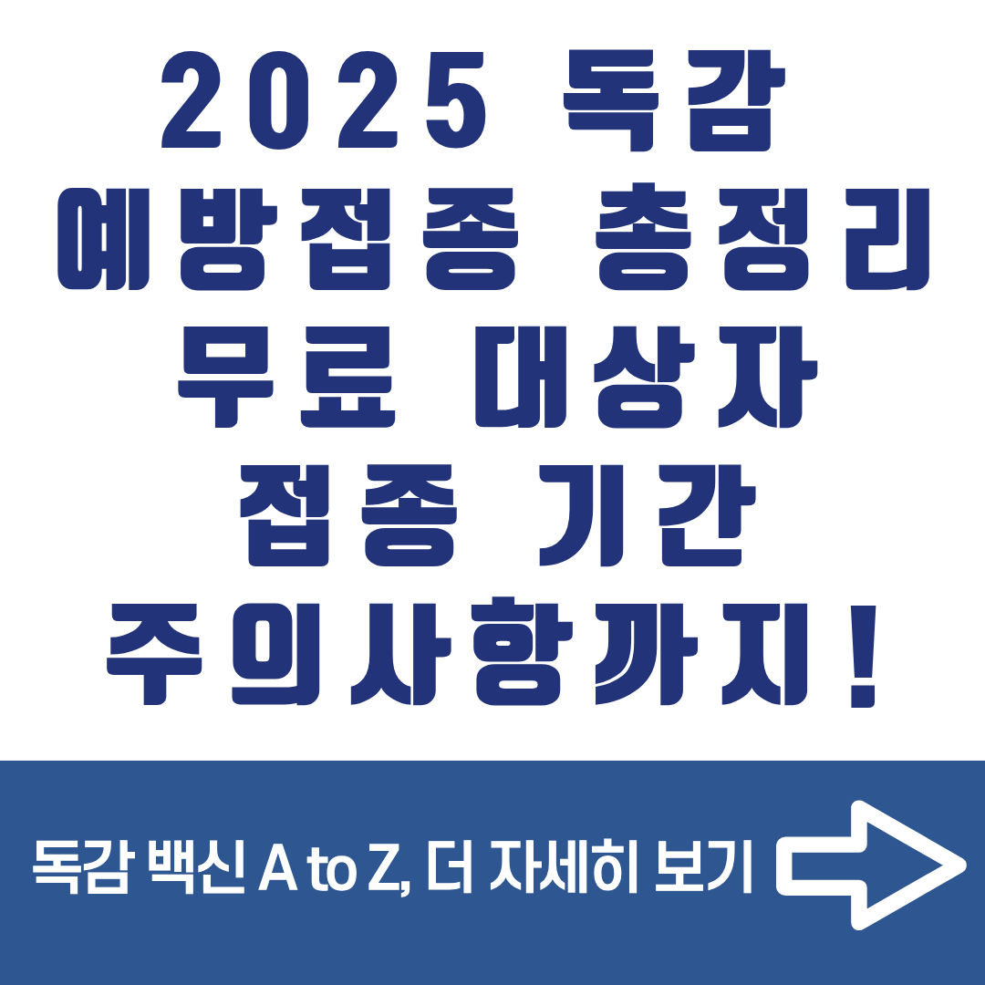 2025 독감 예방접종