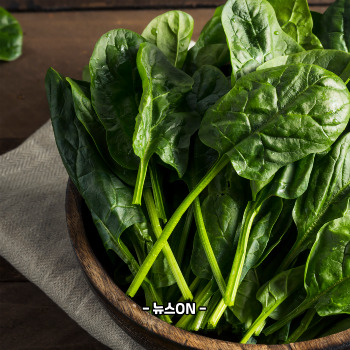 추석 나물 종류