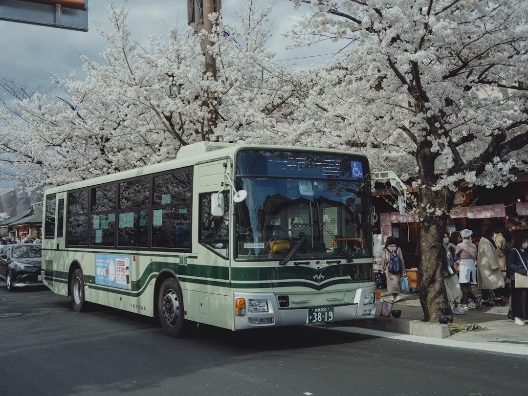 Bus.