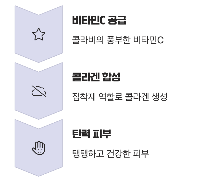 피부 탄력의 열쇠, 콜라겐 생성 도우미