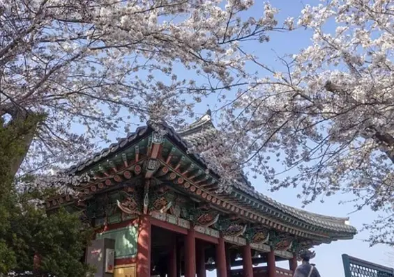 강릉-경포대