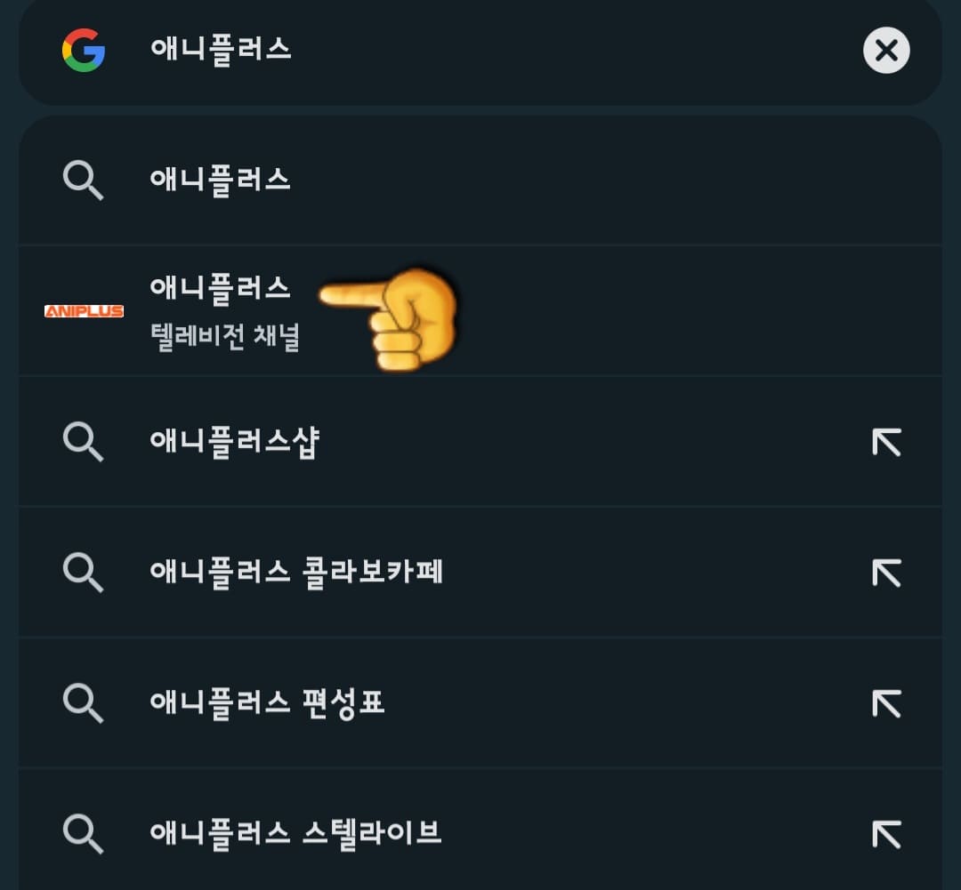 애니플러스-편성표-및-채널번호-확인하는-법-다음,-네이버,-구글에서-애니플러스-입력한-후-검색합니다.
