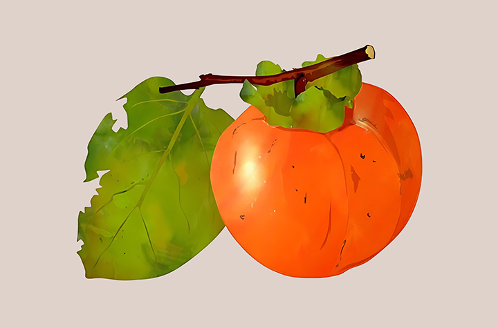 홍시-하루-섭취-권장량