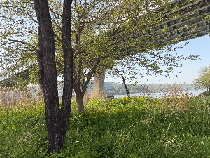 한강에서 아이와 피크닉 완벽 준비 방법