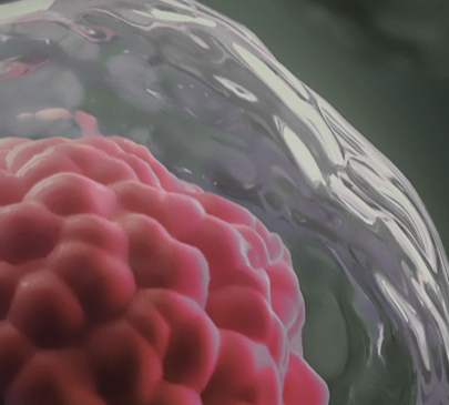 엘셀라퓨틱스_세포