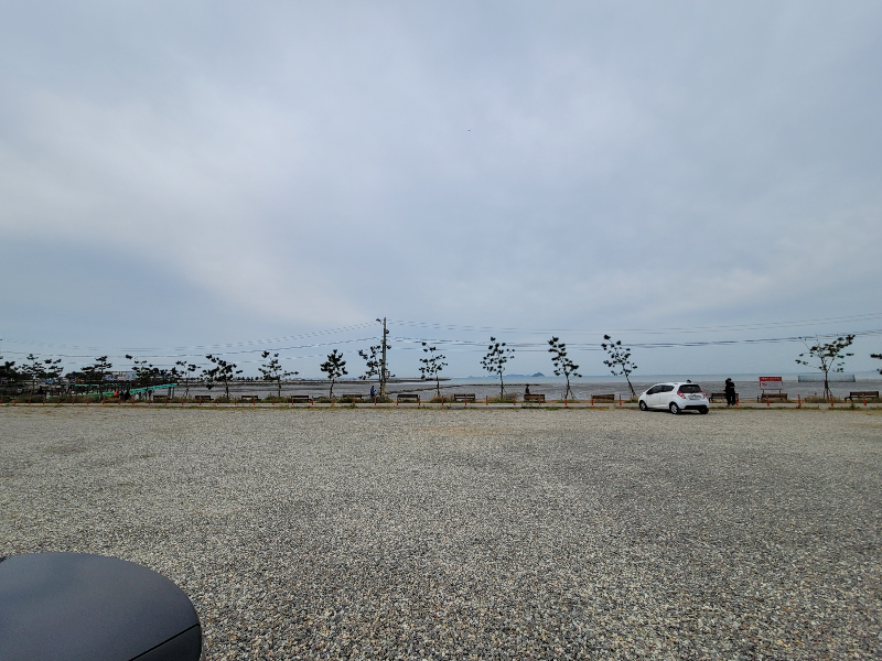 궁평씨푸드 주차장