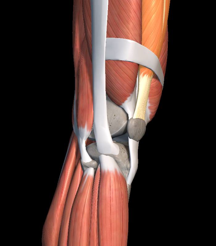무릎 연골연화증 증상