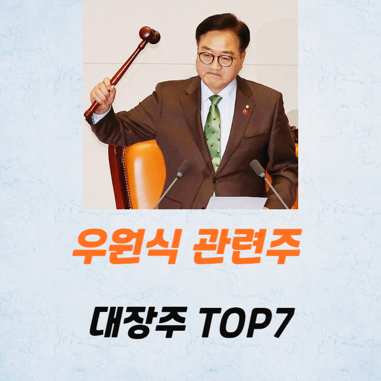 우원식 관련주 대장주 테마주 TOP5 주식