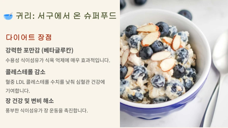 귀리 다이어트의 장점을 설명한 인포그래픽