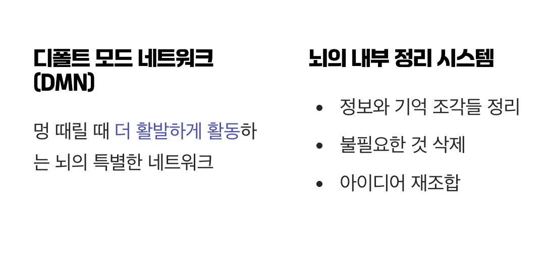 '멍 때리기'의 과학, DMN을 깨워라!