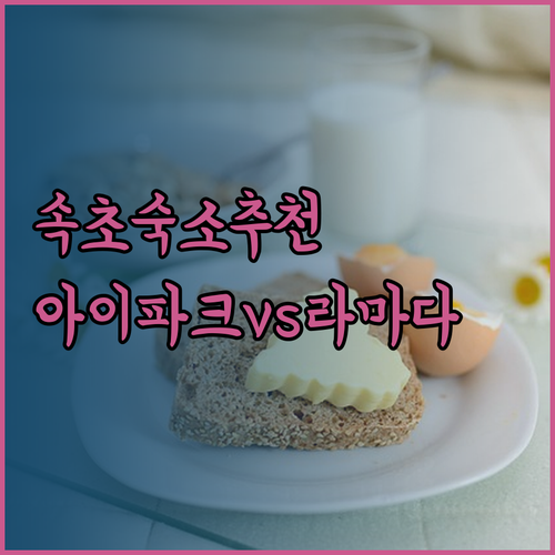 속초 여행 숙소 고민 끝 속초아이파크
