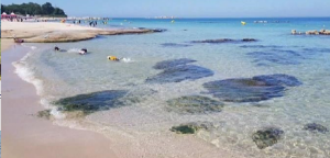 2024 강원도 해수욕장 개장일 추천 BEST 7