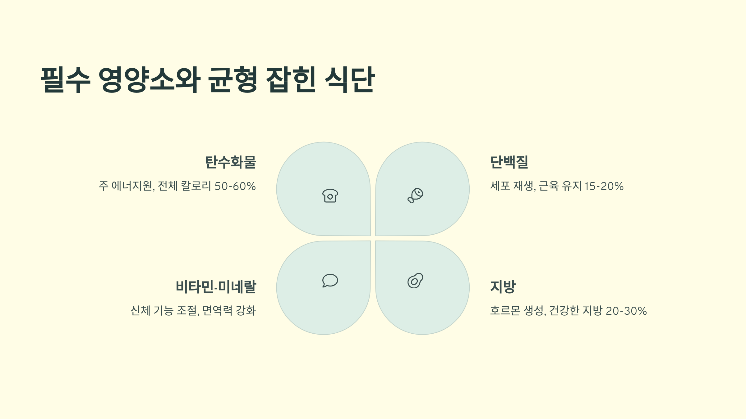 균형 잡힌 식사의 중요성