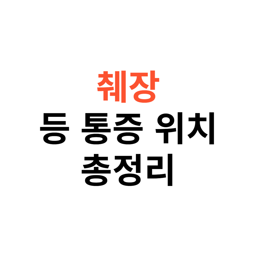 췌장 등 통증 위치