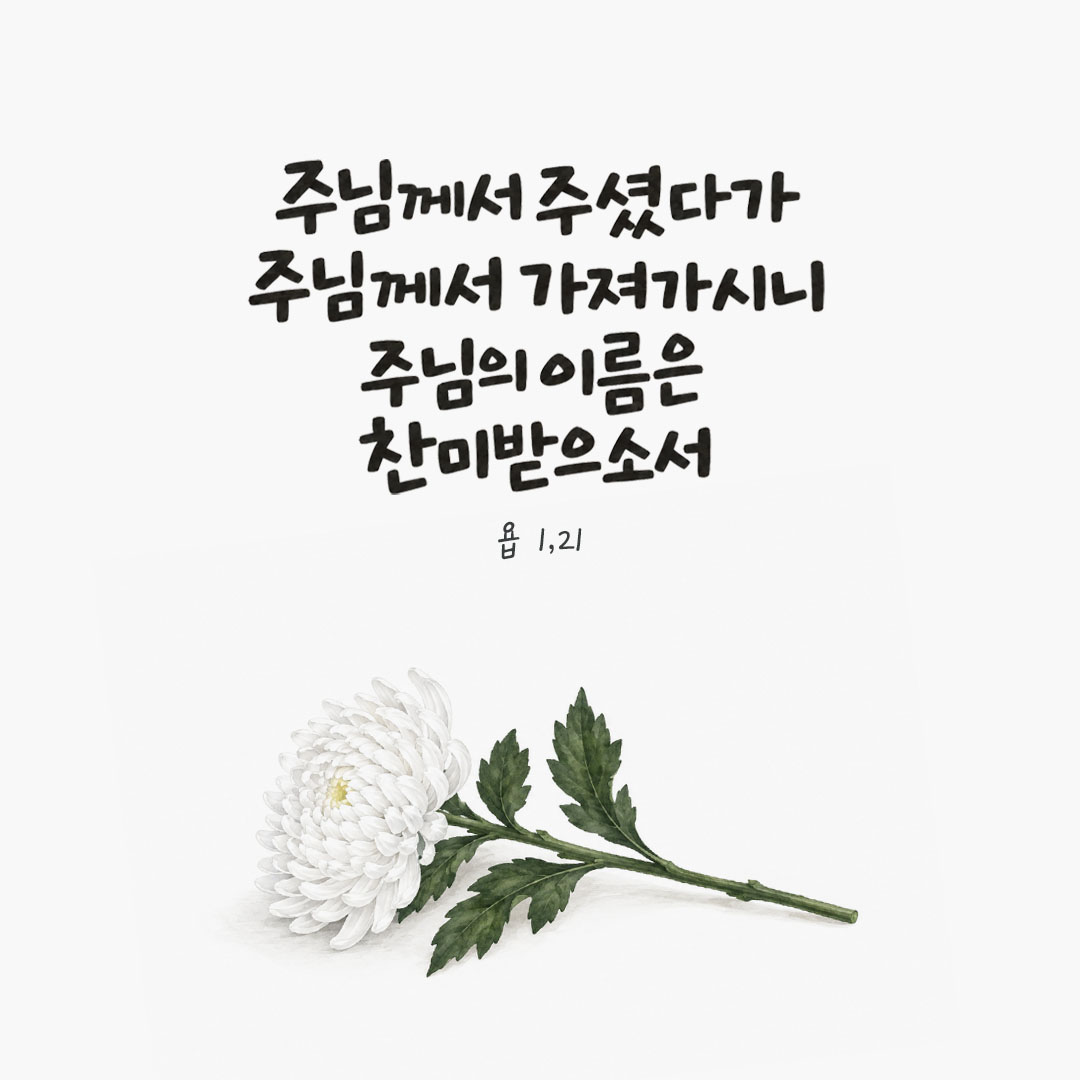주님께서 주셨다가 주님께서 가져가시니 주님의 이름은 찬미받으소서. (욥 1,21) 말씀카드