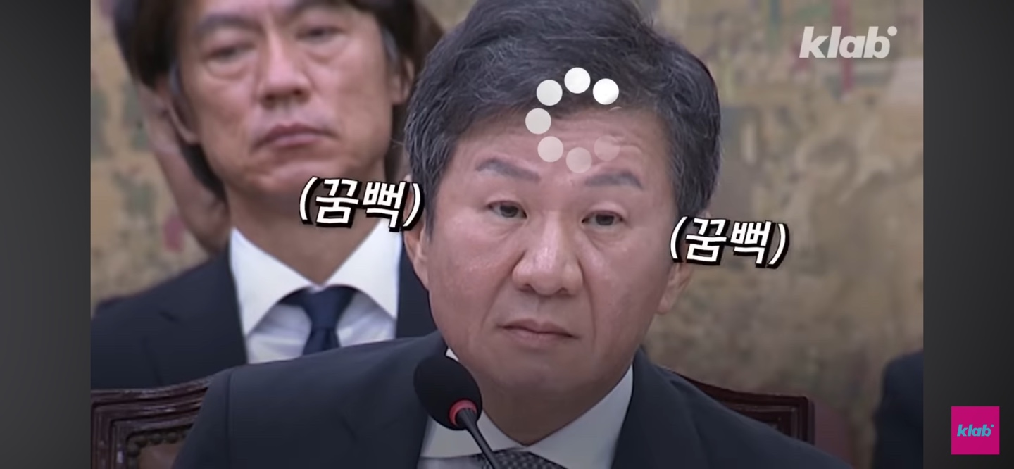 축구협회 국정감사 핵사이다 ❘ 믿고 보는 강유정 위원