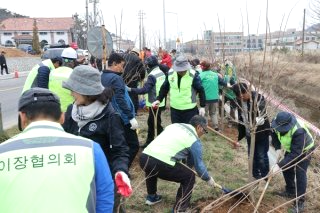 식목일 공휴일 폐지 이유와 날짜 의미