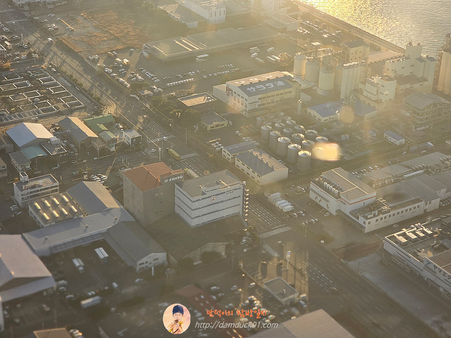 처음 보는 일본의 모습