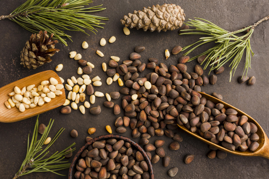 야생에서 채취를 한 잣나무의 열매인 잣을 검은 바닥 위에 흩어놓고 동그란 그릇과 나무 숟가락에도 가득 담아서 놓아두고 잣을 깐 것을 또 다른 숟가락에 담아두고 옆에 잣잎과 솔방울을 같이 두고 찍은 사진