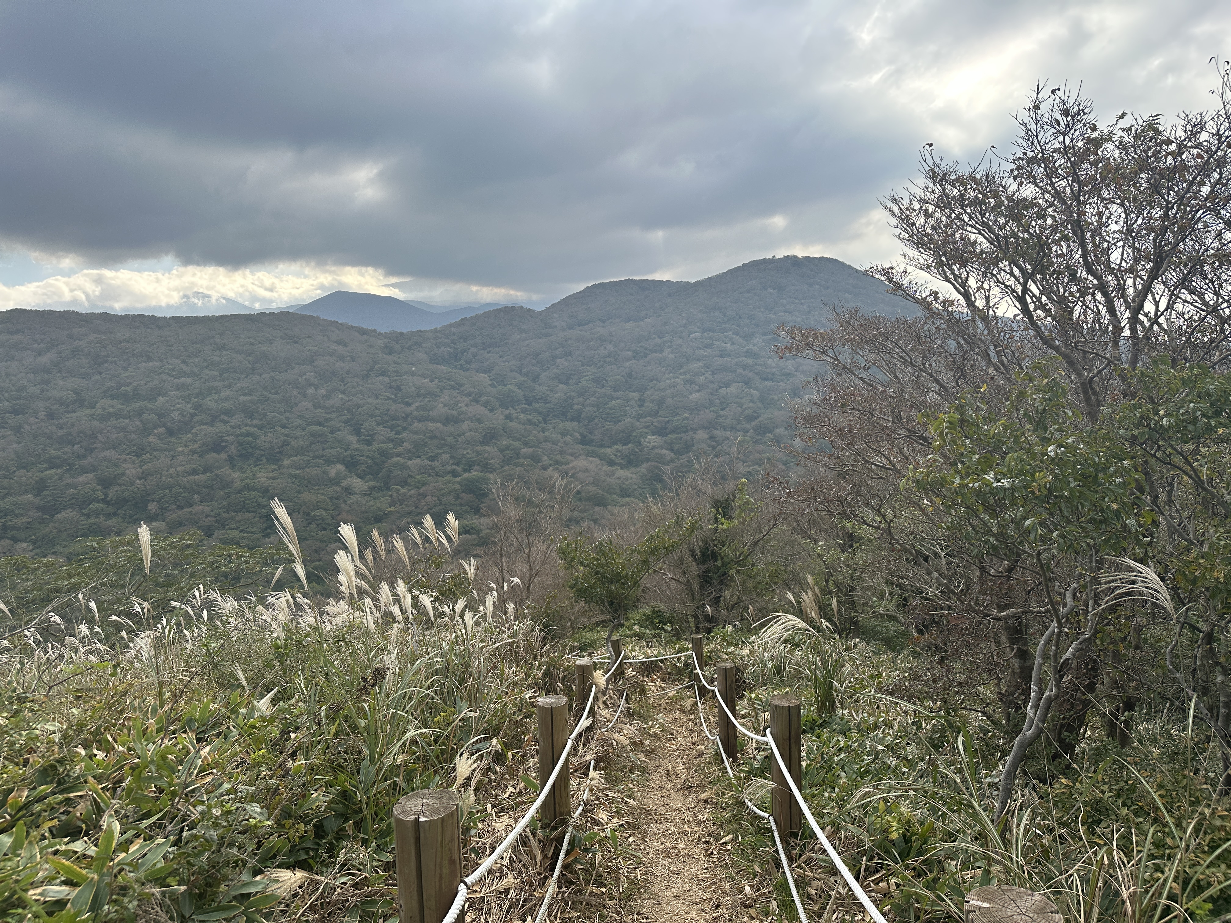 봉개동 민오름 정상