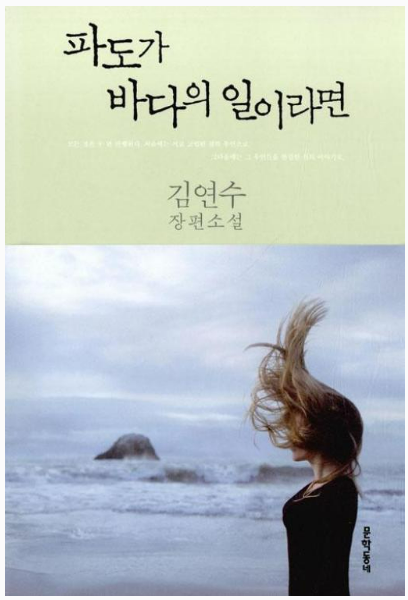 김연수 '파도가 바다의 일이라면'