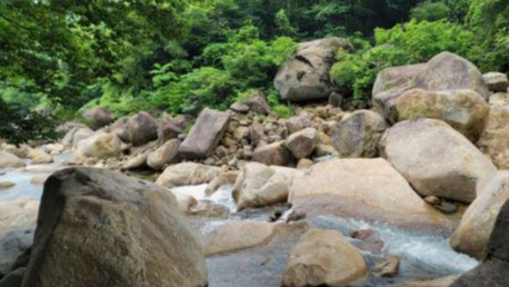 산청 우니메이카