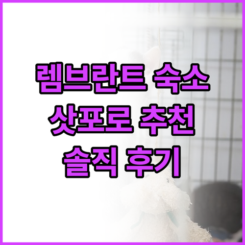 렘브란트 스타일 삿포로 추천! 가성비..
