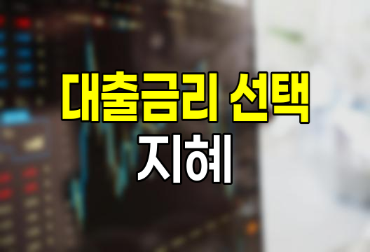 고정금리와 변동금리의 춤, 대출금리 선택의 지혜