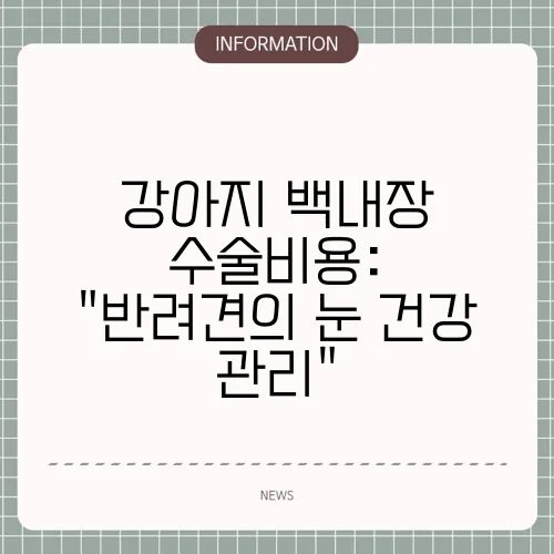 강아지 백내장 수술비용: 