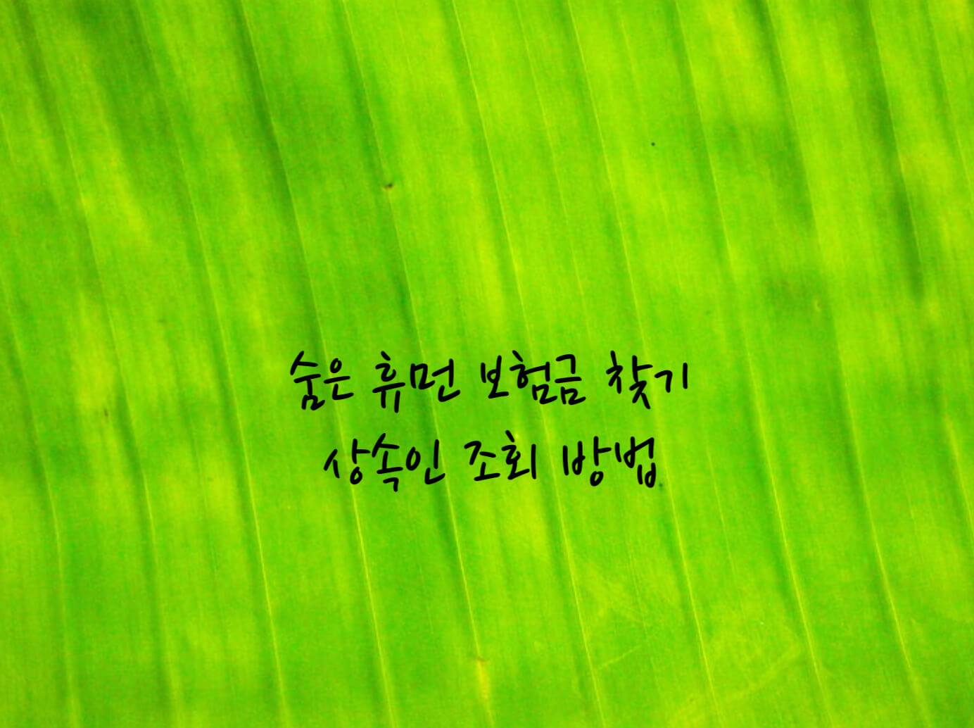 숨은 휴면 보험금 찾기