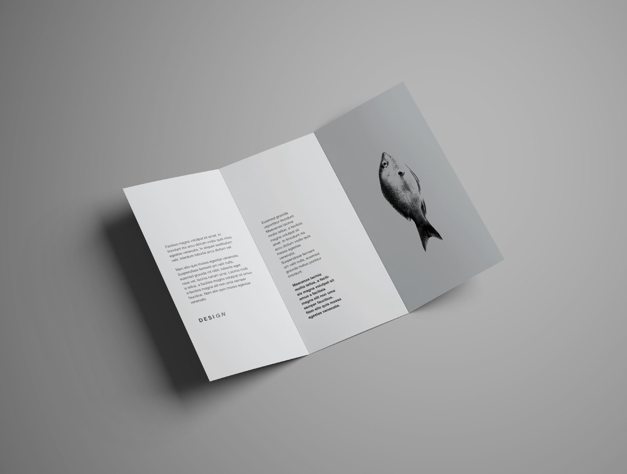 Free Advanced Trifold Brochure Mockup &ndash; 7 Angles