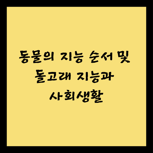 8종 동물의 지능 순서 및 돌고래 지능과 사회생활