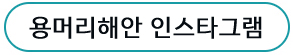 인스타