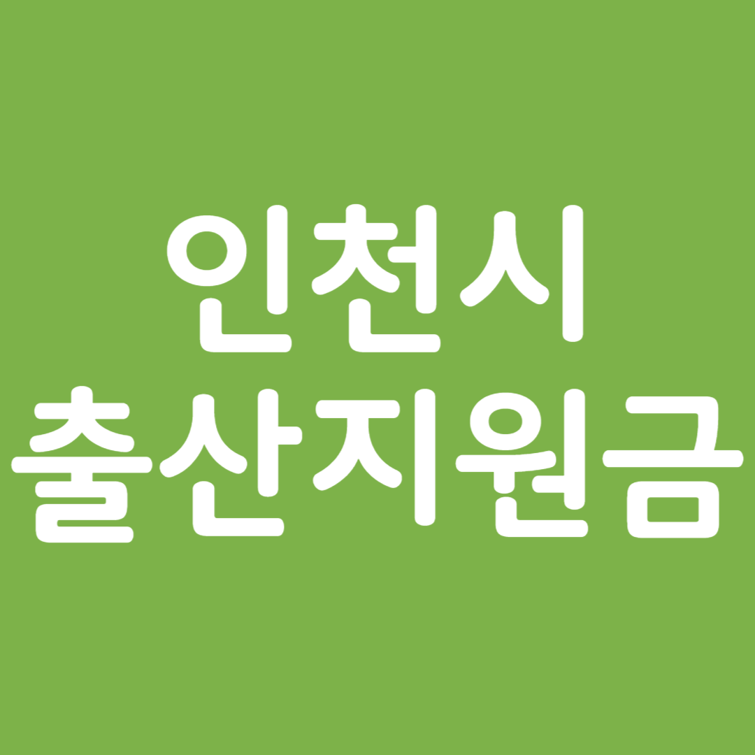 인천시 출산지원금 혜택