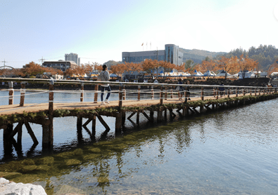 2023 청송 사과축제 사진