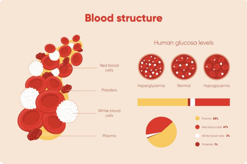 혈관 속 노폐물