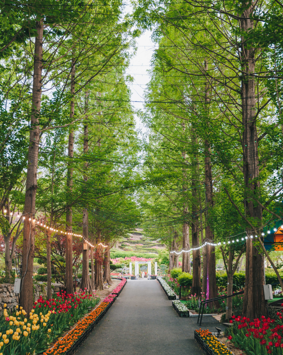 피나클랜드 수목원