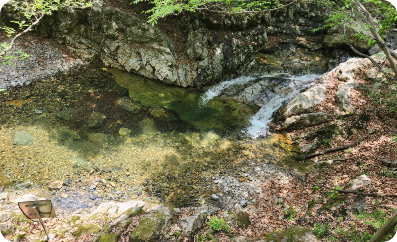 작은 물 웅덩이, 소(沼)