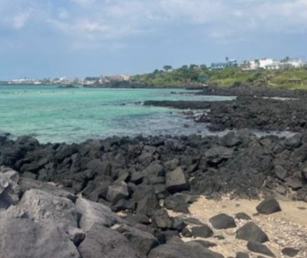 해외여행자-보험