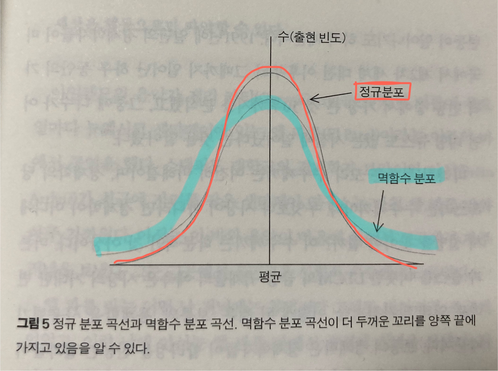 그래프_멱함수 분포