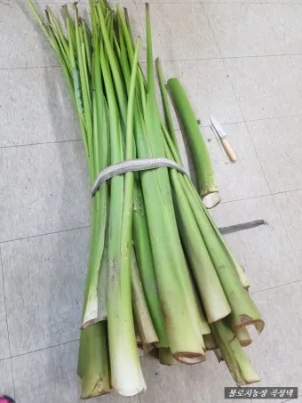 토란대 손질방법 말리는 방법을 정리_22