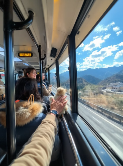 태백 천상의 산나물 축제 - 봄의 향연에 빠져들다