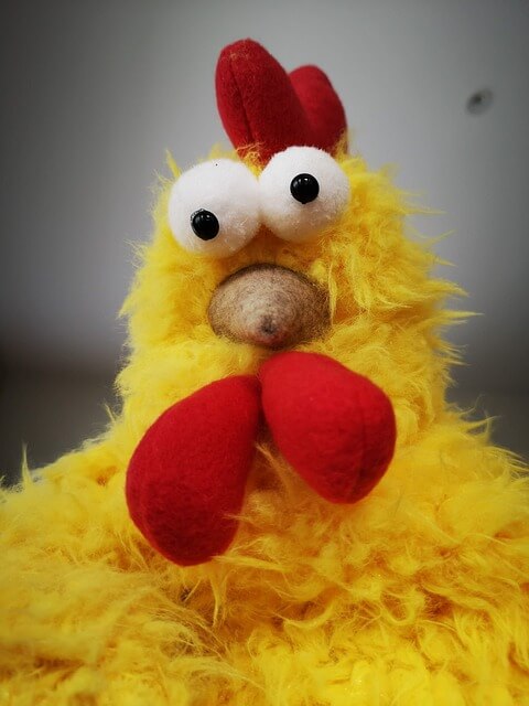 2025년 을사년 신년운세, 닭띠(7) 시간은 흐른다. 닭띠.